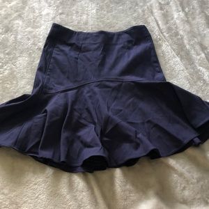 Zac zac Posen navy skirt